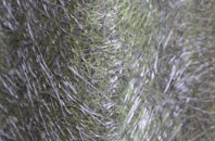 Kirk Sandall fibreglass roof work